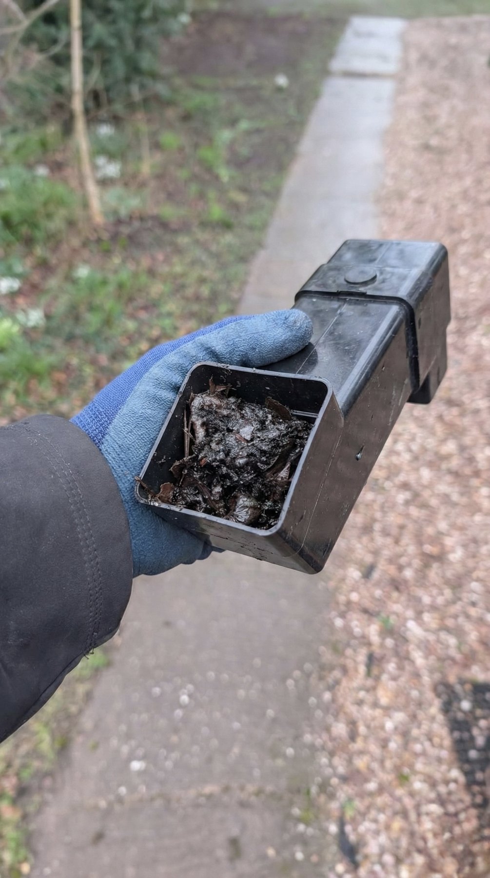 Debris removed from a gutter system — leaves, moss and silt