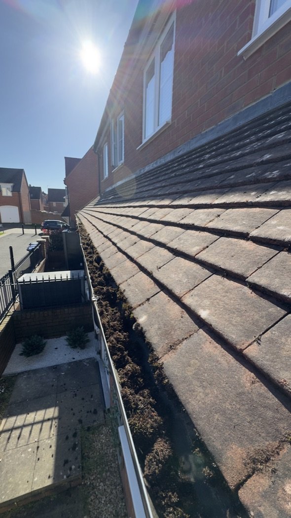 Gutter before clearance, moss and plant growth, Jetstream Powerwash Swindon