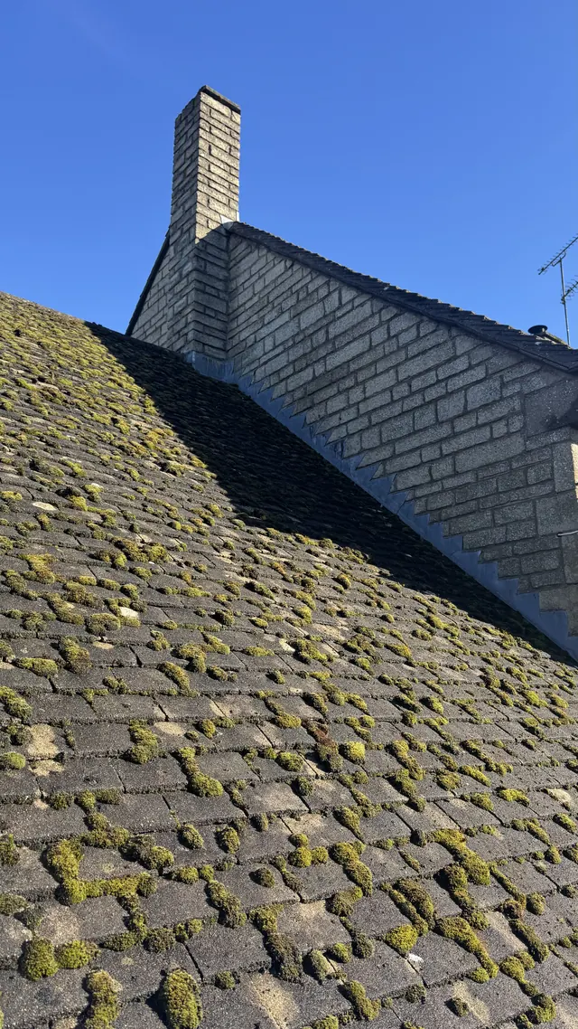 Concrete roof tiles heavily covered in moss before cleaning
