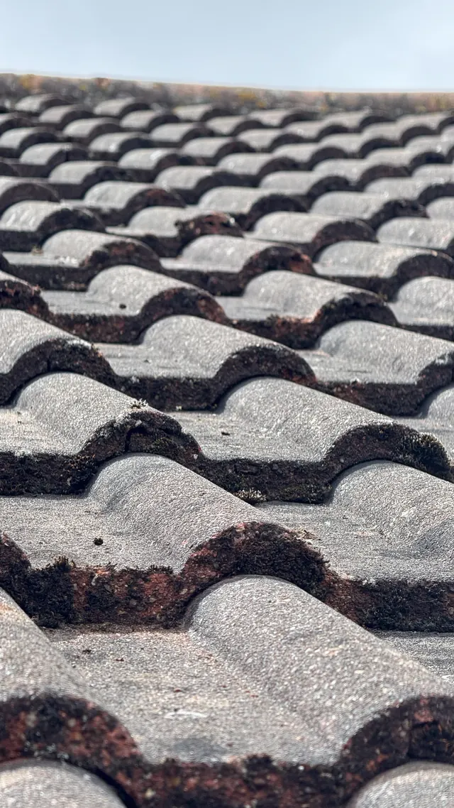 Close-up of roof tiles with moss and organic growth settled between the ridges