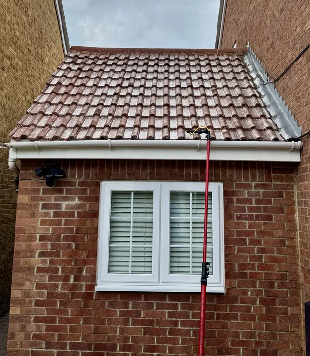 Treatment being applied to a tiled extension roof using a long red pole