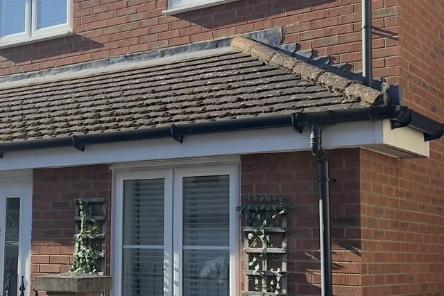 Roof tiles with moss and organic growth before cleaning, at a home in Royal Wootton Bassett